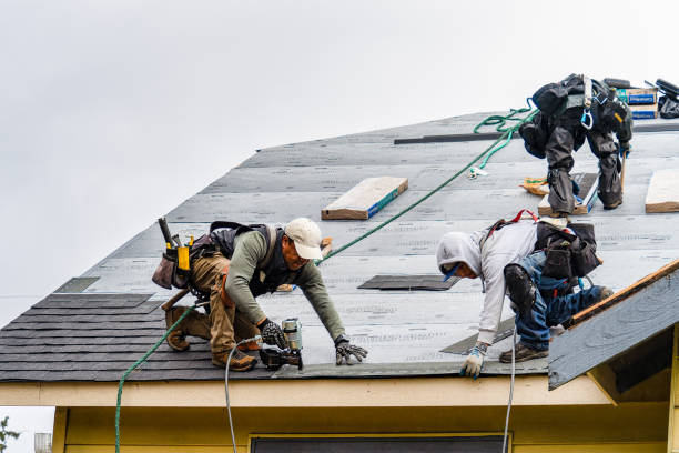 Professional Flat Roof Repair technician working in Ursa, IL